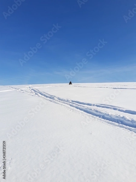 Obraz Winter landscape