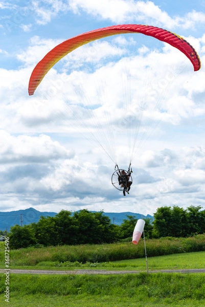 Obraz 北海道　パラグライダー