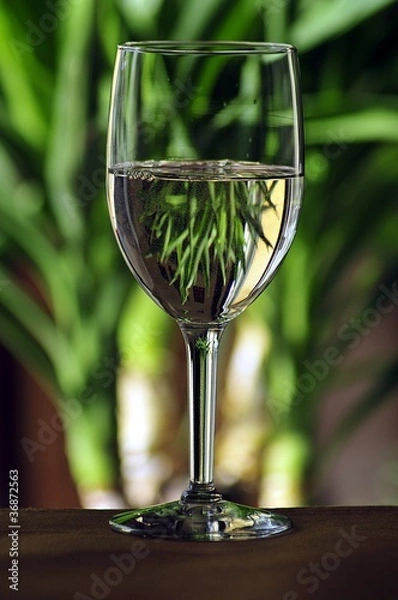 Obraz White Wine Green Yucca