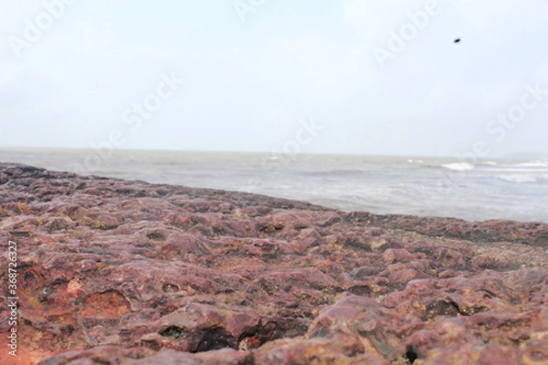 Obraz water in the sand