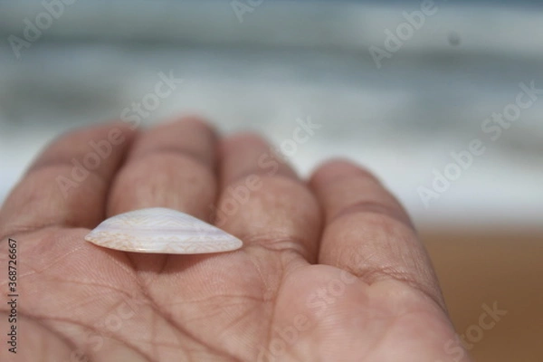Obraz hand holding a stone
