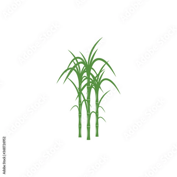 Fototapeta Sugar cane Logo Template vector symbol