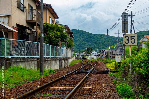 Fototapeta 日本の初夏のローカル線
