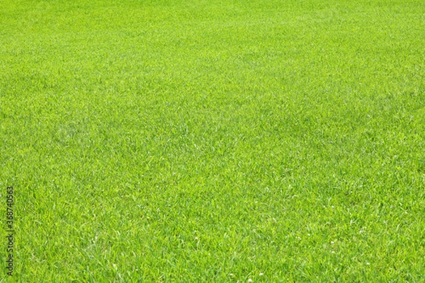 Obraz 公園_芝生イメージ