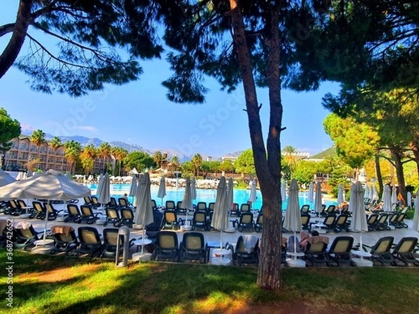 Obraz picnic in the park