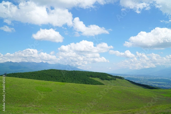 Fototapeta 夏の霧ヶ峰高原
