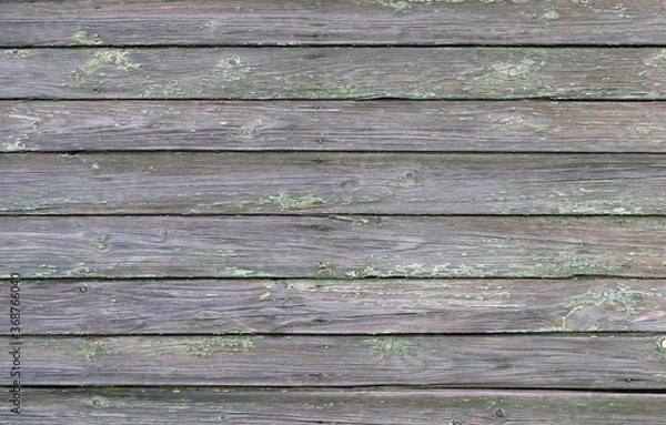 Fototapeta The old wood texture with natural patterns
