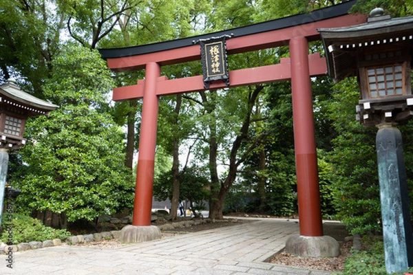 Fototapeta 根津神社の表参道口