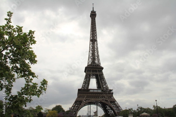 Obraz シャン・ド・マルス公園からみたエッフェル塔