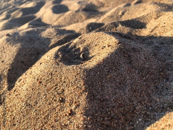 Obraz stone on the beach