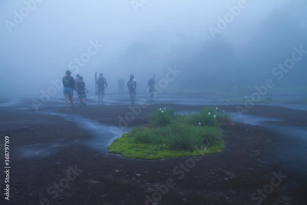 Fototapeta people walking in the fog