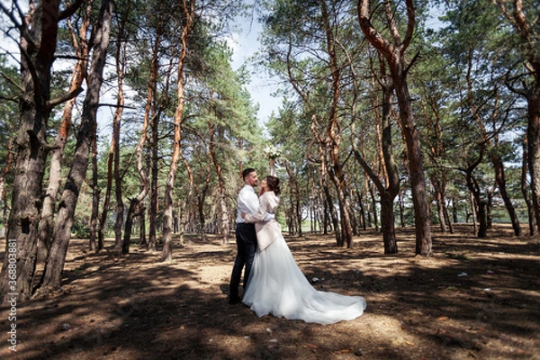 Fototapeta the bride and groom are walking in the woods