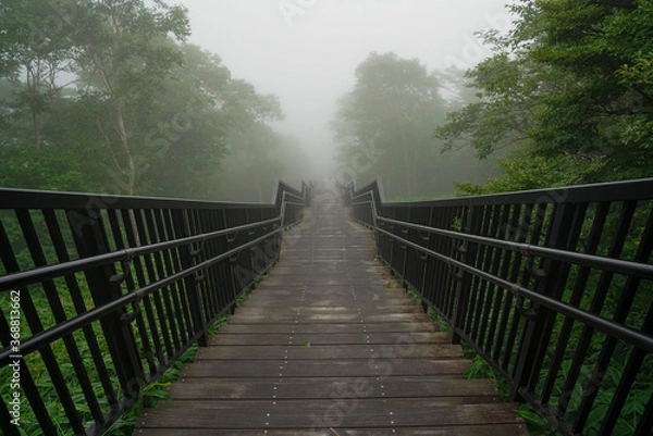 Obraz 先行き不透明