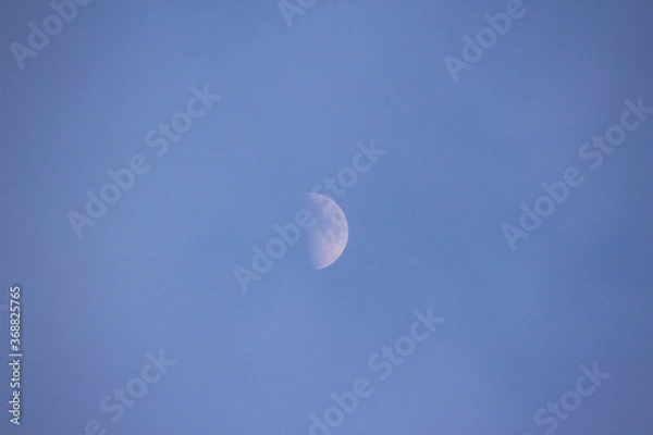 Fototapeta 月
