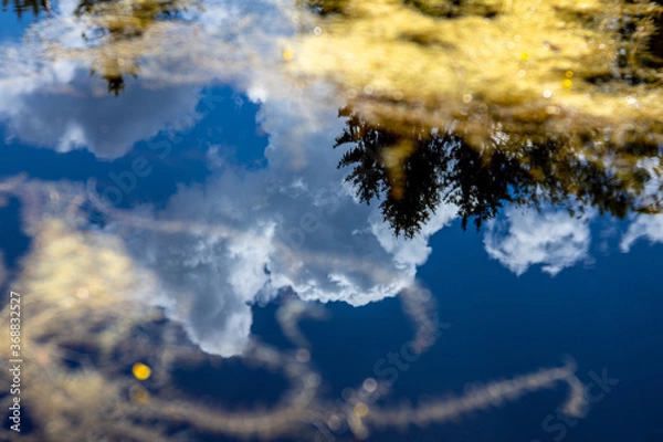 Obraz Reflection in Water