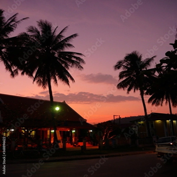 Fototapeta ラオスの世界遺産の町、ルアンパバーンの夕日とヤシの木の風景