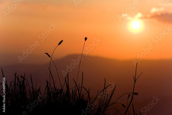 Fototapeta coucher de soleil en montagne