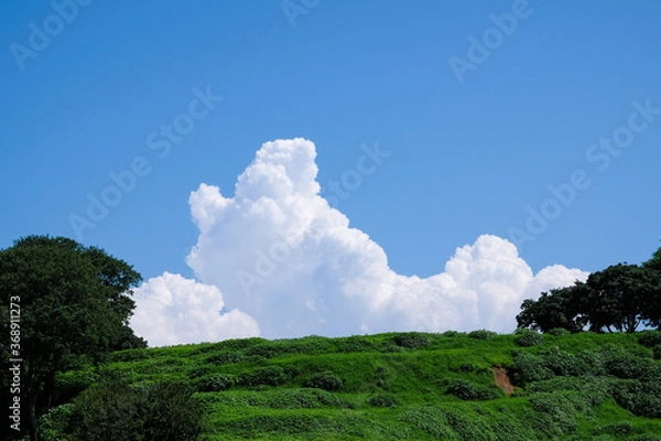 Obraz 晴れた夏の空に浮かぶ入道雲