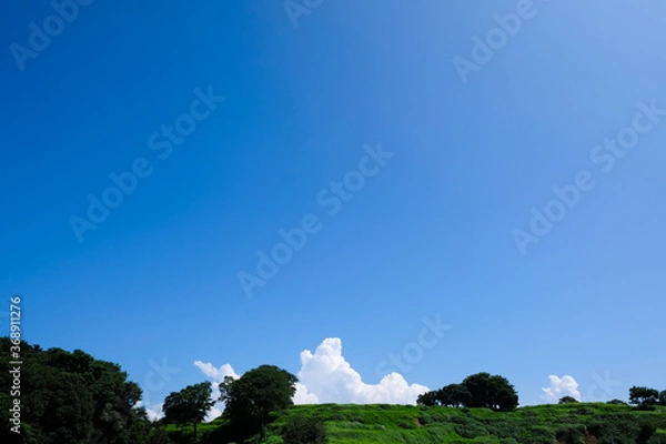 Obraz 晴れた夏の空に浮かぶ入道雲