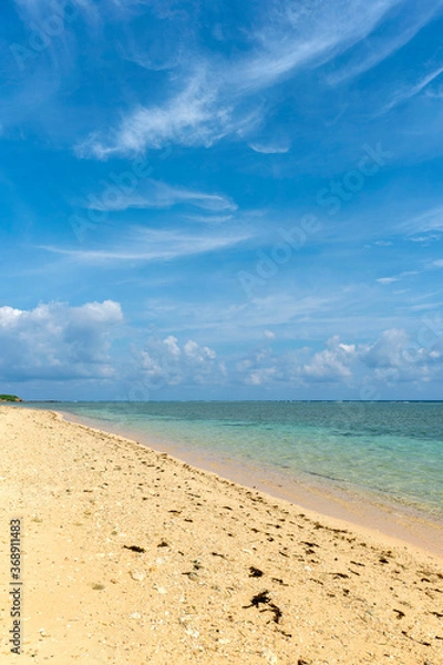 Fototapeta 沖縄県　西表島の中野海岸