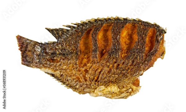 Obraz fish isolated on white background