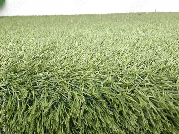 Obraz green grass texture