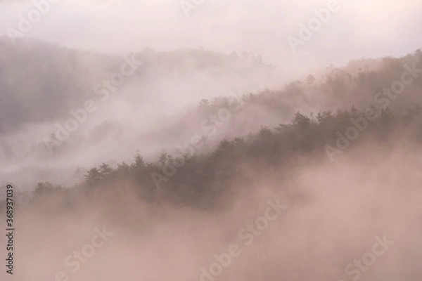 Fototapeta 朝日に照らされてオレンジ色に染まった山の朝靄