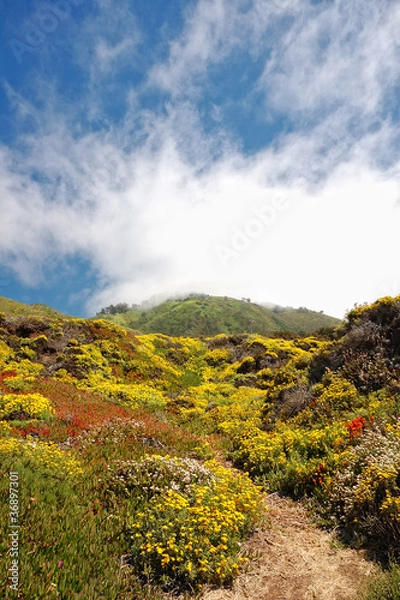 Obraz Big Sur_2