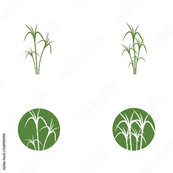 Obraz Sugar cane Logo Template vector symbol
