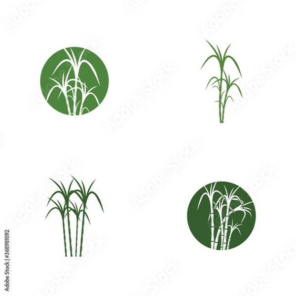 Obraz Sugar cane Logo Template vector symbol
