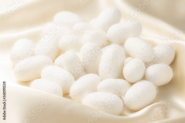 Fototapeta 繭玉とシルクの背景