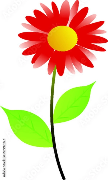 Obraz red gerbera flower