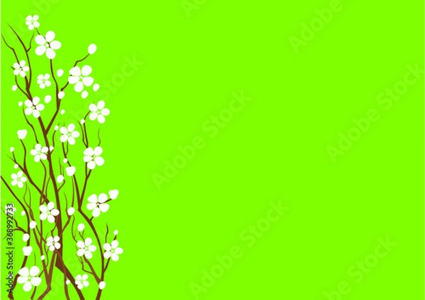 Obraz green grass and flowers