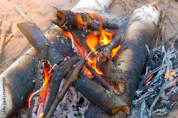 Fototapeta Burning bonfire in forest camping with woods and burning birch in fire, closeup view. Fireplace on nature in sand from natural eco materials. Smoke from burning branches. Beautiful orange flames.