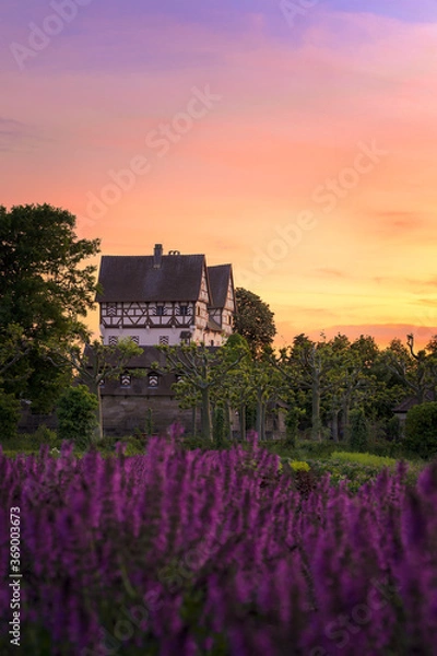 Obraz Castle Neunhof