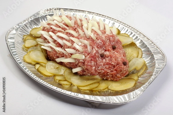 Obraz Mettigel auf Aluplatte