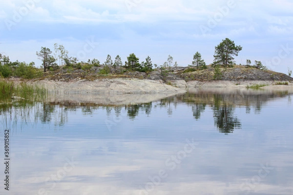 Obraz reflection of trees in water