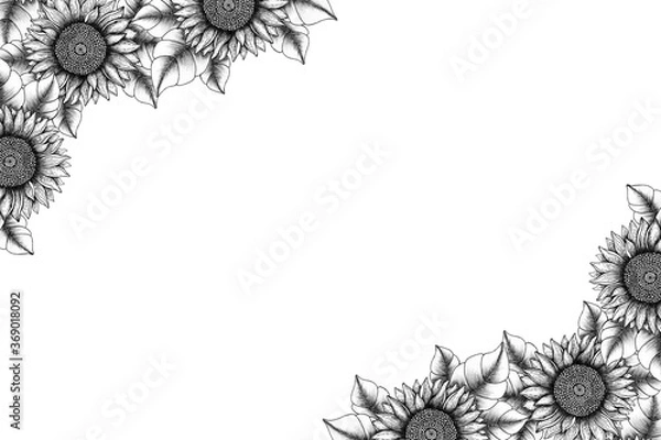 Obraz vintage sunflower frame, hand drawn ink floral card design, botanical frame decoration with monochrome sunflowers, line art floral decoration