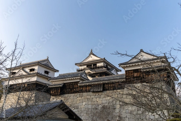 Fototapeta 松山城