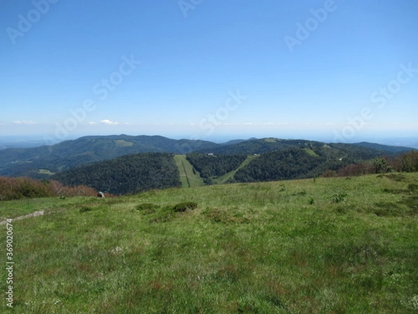 Fototapeta ballon d'alsace