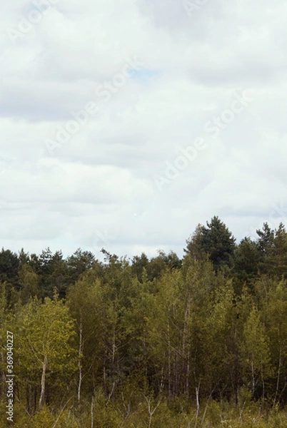 Fototapeta Autumn landscape with forest and cloud sky.