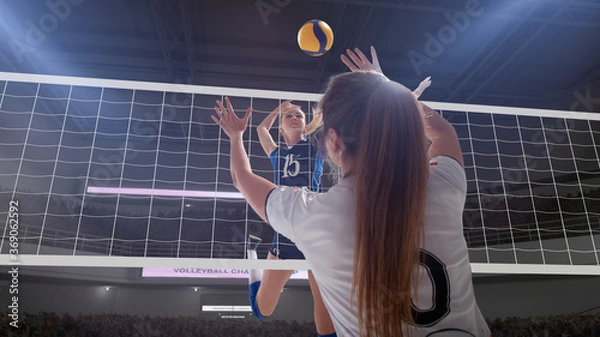 Fototapeta Female professional volleyball players in action on 3d stadium.