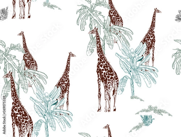 Obraz Seamless Pattern Giraffes in Banana Palms Nursery Children Design, Wildlife Safari in Ecotic trees Outline Drawing on White Background, Engraving Drawing Animals in Desert