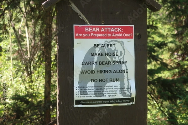 Fototapeta Bear attack warning sign
