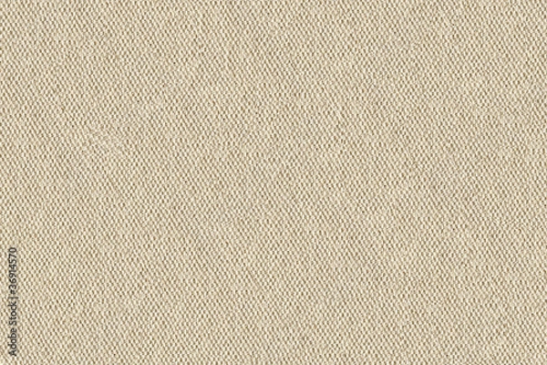 Obraz Canvas texture