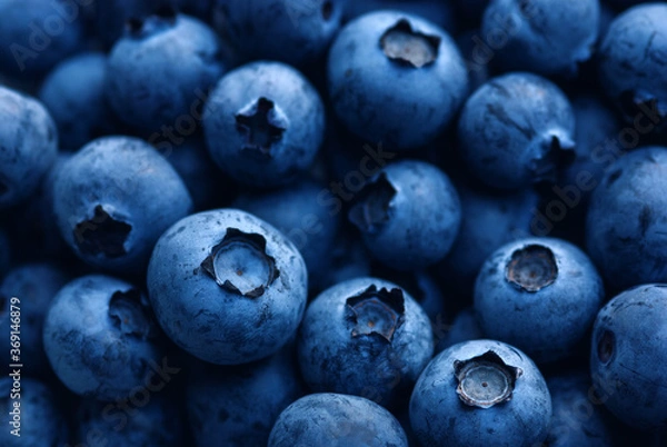 Fototapeta dark blue ripe blueberry macro close up