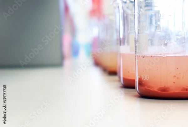 Fototapeta Waste water sample in beakers coagulation and flocculation method with Ferric chlorine and using Jar test for forming precipitation and reduced turbidity calibration range. Use for science background.