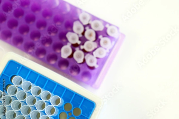 Fototapeta Micro Centrifuge tube with blood sample in solution, for testing anti-biotic with tips micropipette and purple eppendorf racks, biotechnology analysis experiment for anti-virus.	