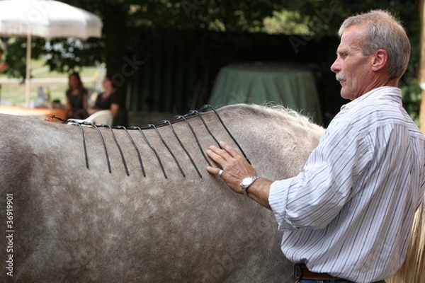 Fototapeta Sattelprobe