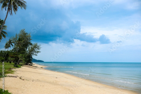 Fototapeta tropical beach with palm trees